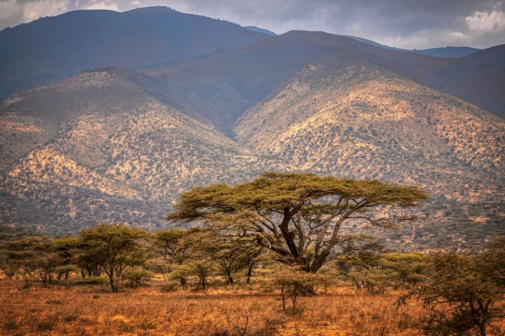 Rejser til Ngorongoro-krateret - Rejser til Tanzania med C&C Travel