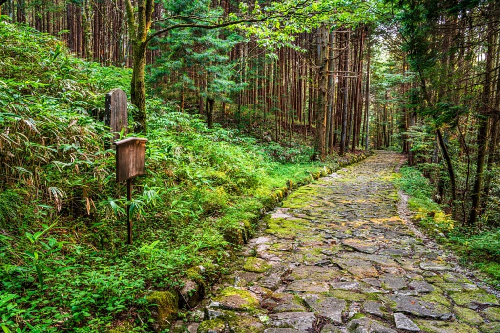 Vandretur i naturen Rejser til Japan - Rejser til Magome - Oplevelser i Japan
