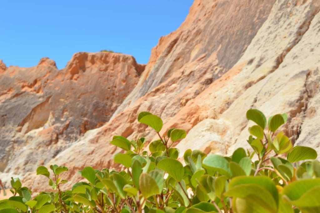Canoa Quebrada Rejser til Brasilien - Rejser til Canoa Quebrada