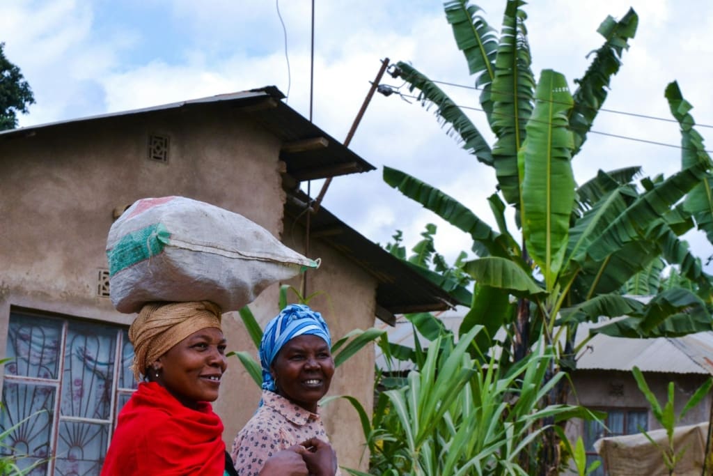 Rejser til Arusha - Rejser til Tanzania med C&C Travel