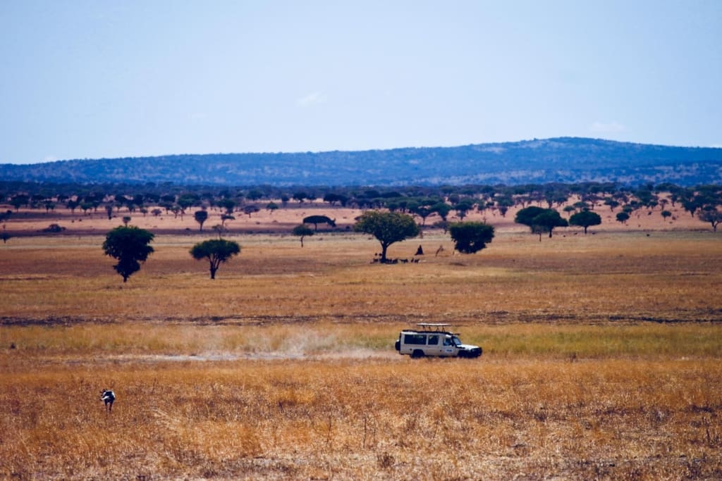 Rejser til Arusha - Rejser til Tanzania med C&C Travel