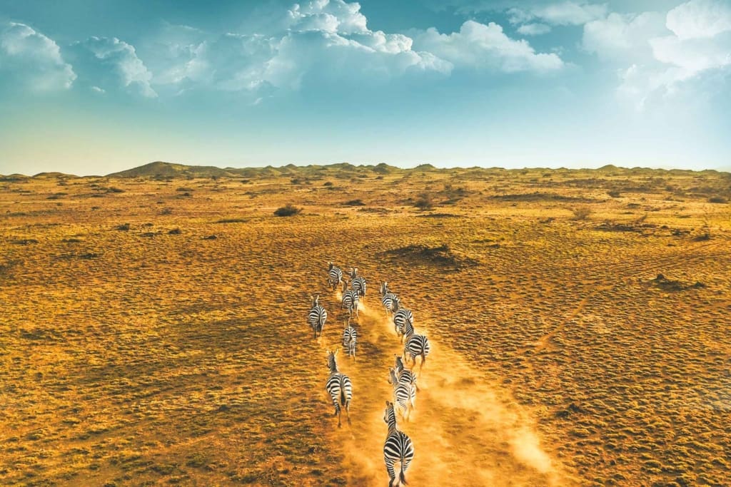 Rejser til Arusha - Rejser til Tanzania med C&C Travel
