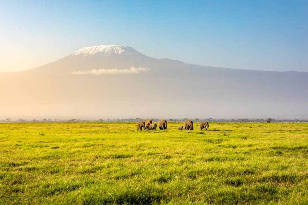 Rejser til Kilimanjaro - Rejser til Afrika med C&C Travel