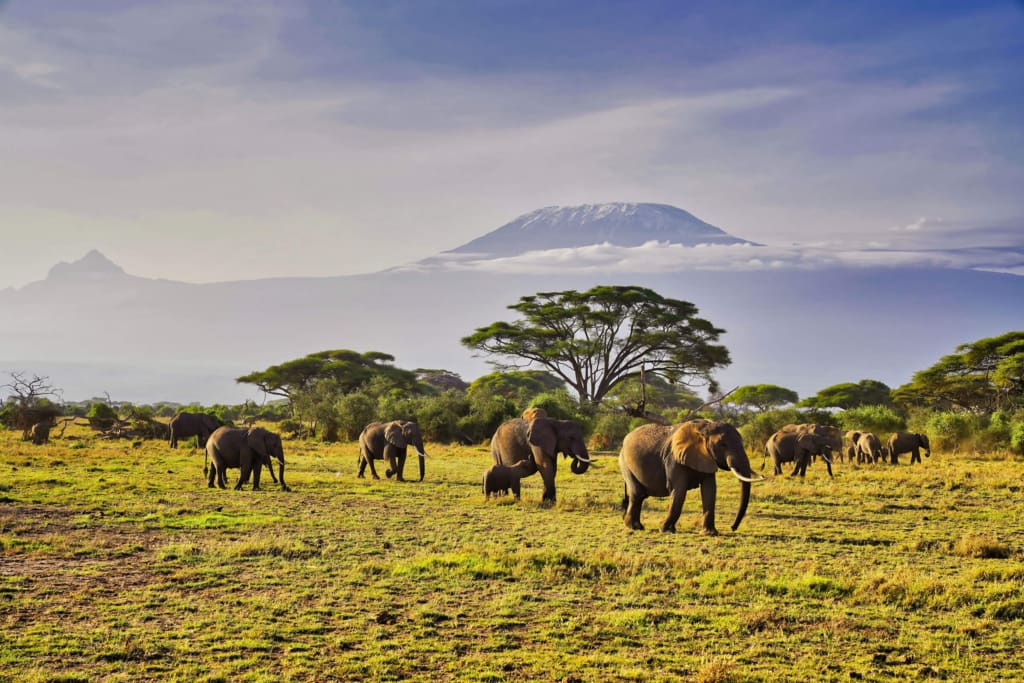 Rejser til Tanzania med C&C Travel