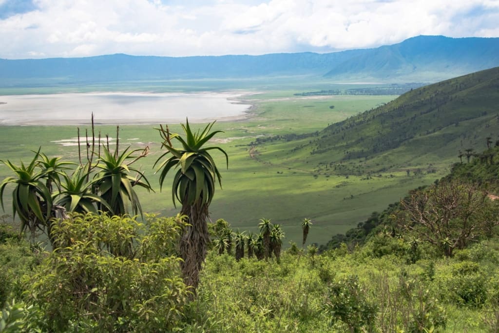 Rejser til Ngorongoro-krateret - Rejser til Tanzania med C&C Travel