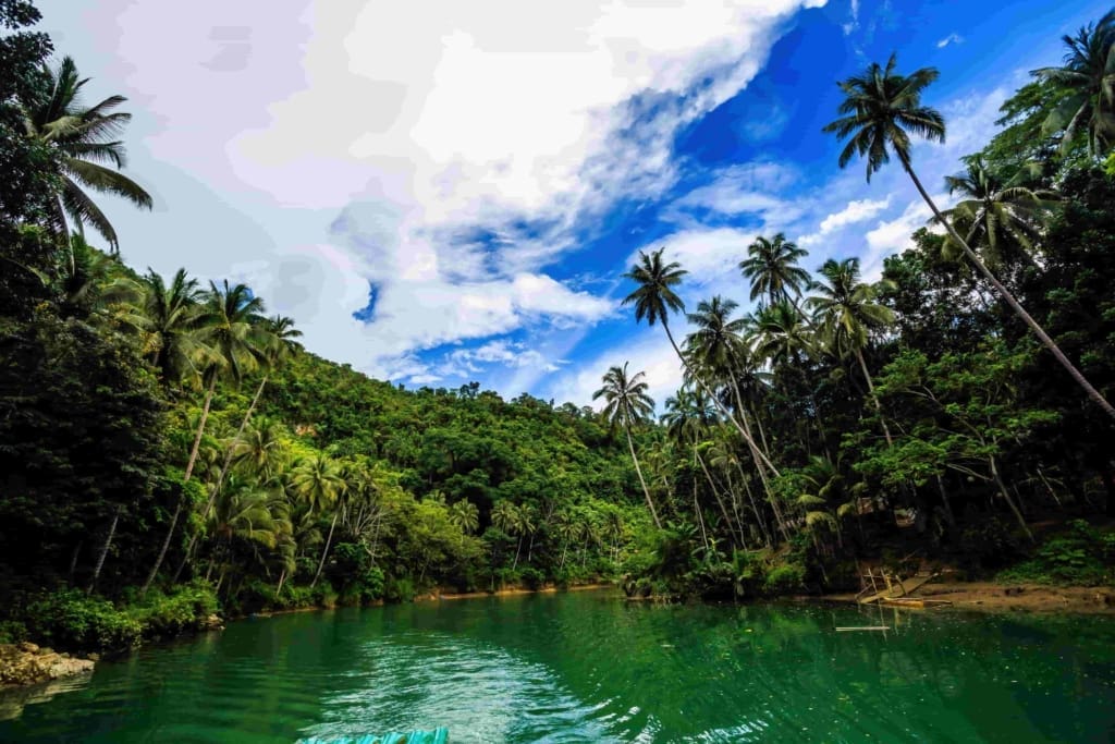 Rejser til Filippinerne - Rejser til Bohol (Panglau) - Heldagstur til Bohol