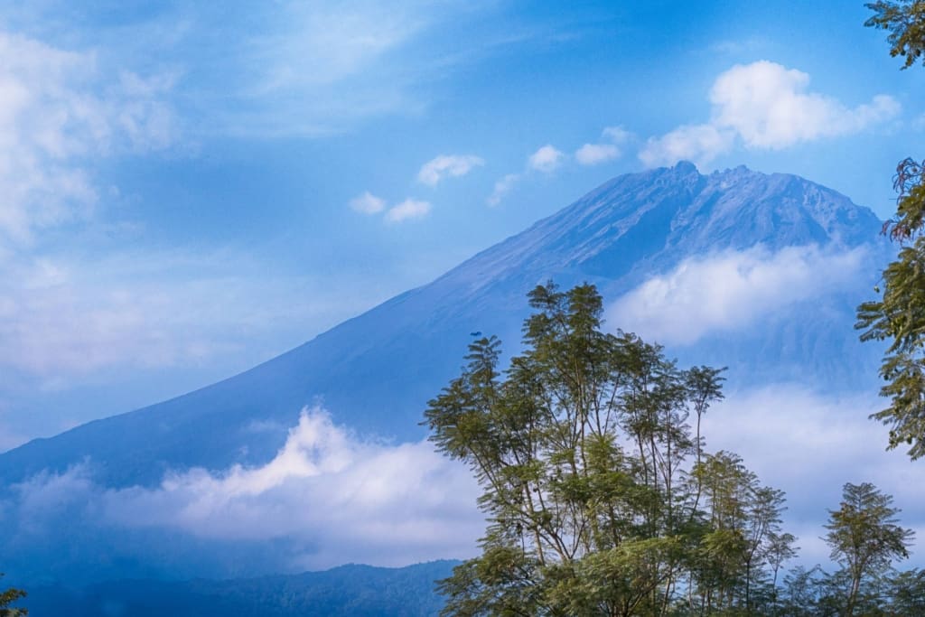 Rejser til Arusha - Rejser til Tanzania med C&C Travel