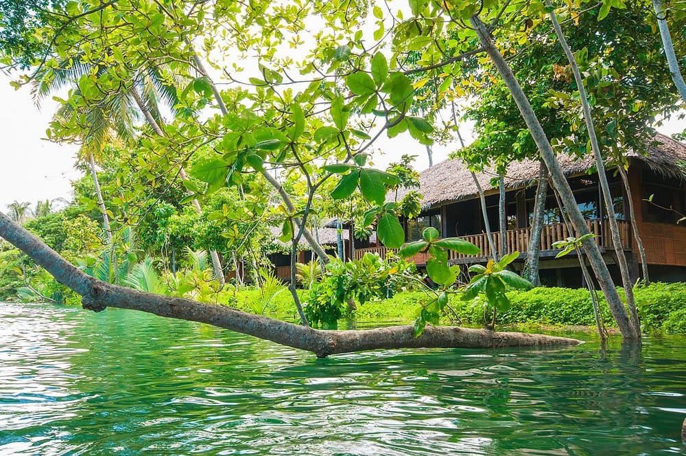 Bo på Loboc River Resort Rejser til Filippinerne - Rejser til Bohol - Loboc River Resort