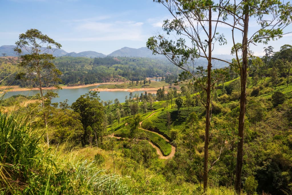 Rejser til Hatton i Sri Lanka med C&C Travel