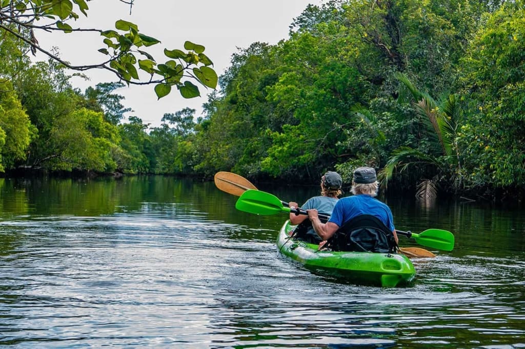 Rejser til Cambodia - Rejser til Koh Kong - Sejltur gennem mangroveskoven