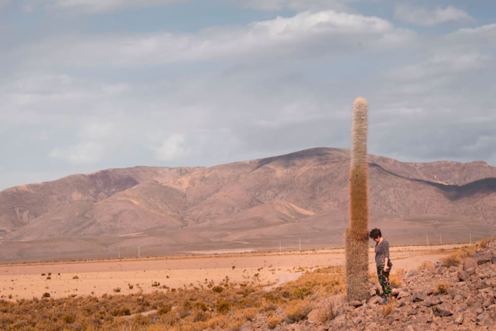 Rejser til Chile - Oplev Tatio Gejserne