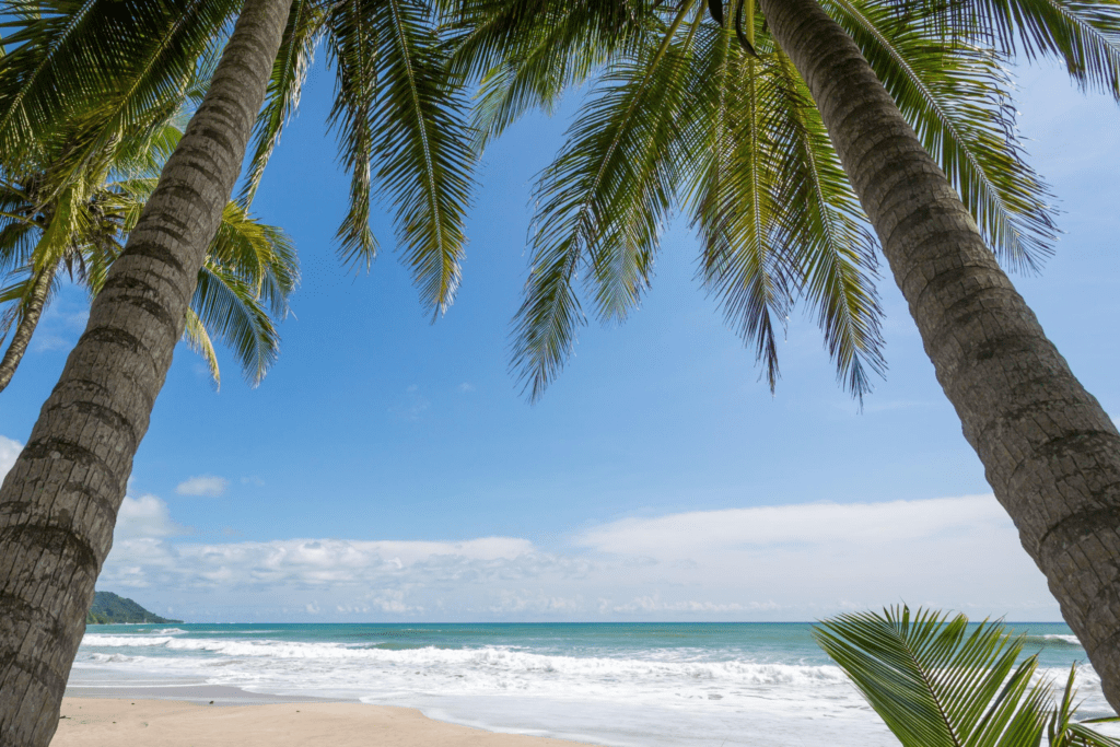 Rejser til Costa Rica - lækker strand