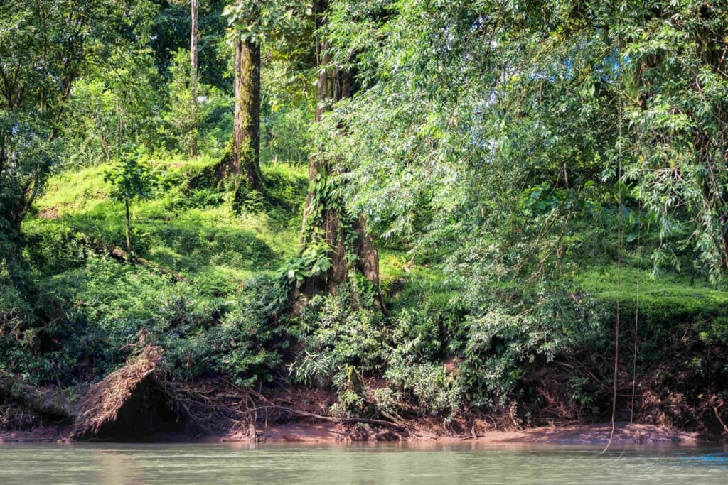 Rejser til Costa Rica, Rejser til Sarapiqui