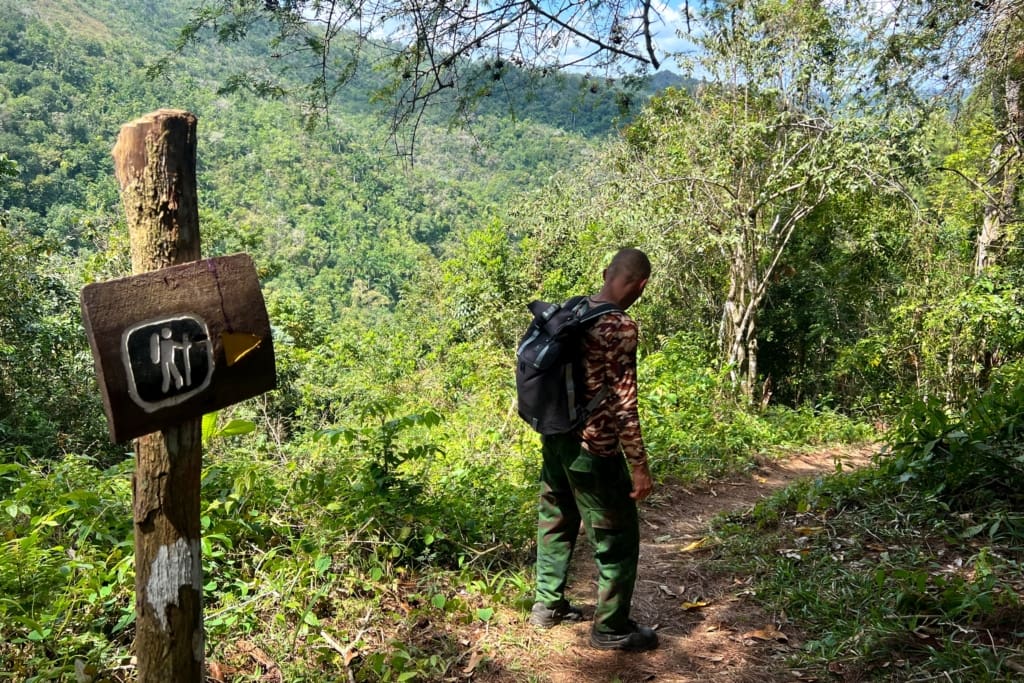 Rejser til Cuba - Rejser til Topes de Collantes - Rancho Bee Hole