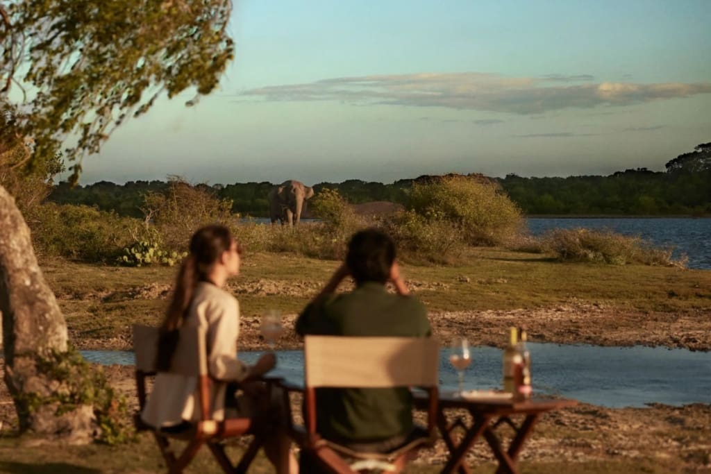 Rejser til Sri Lanka - Rejser til Yala - Uga Chena Huts