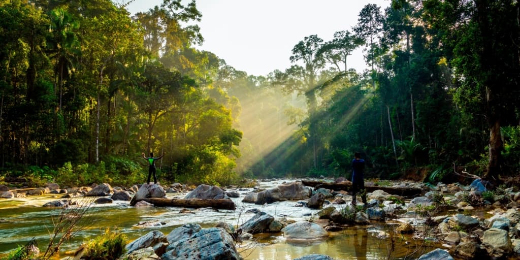 Rejser til Malaysia - Rejser til Taman Negara