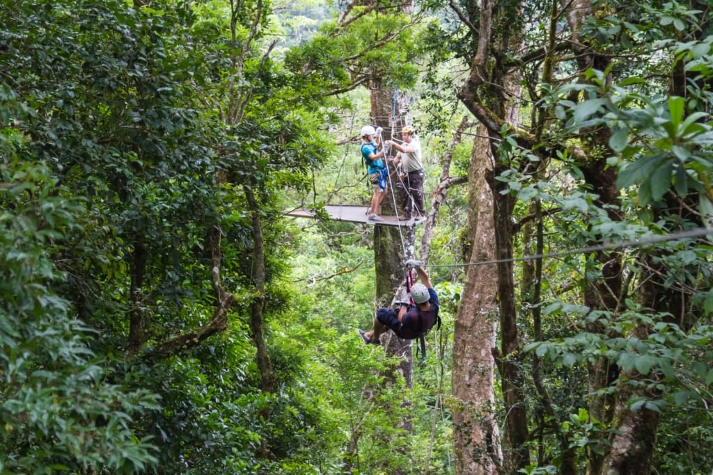 zipline i Monteverde Rejser til Costa Rica, Rejser til Monteverde