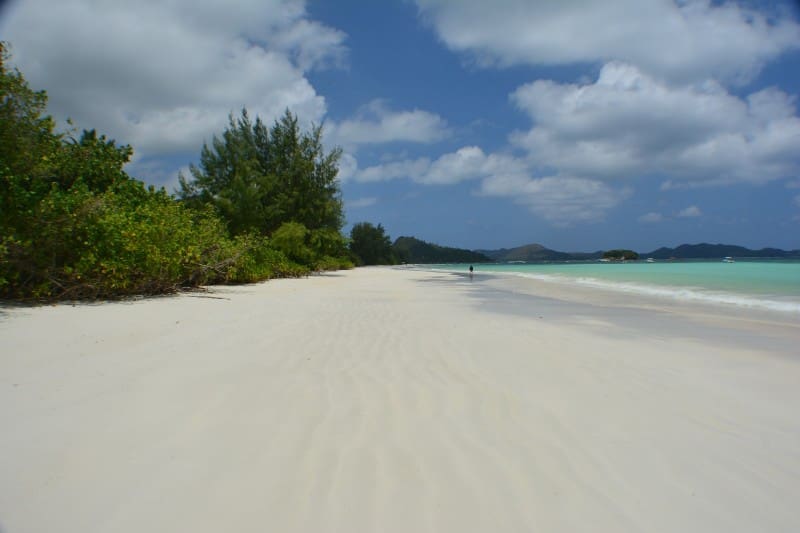 Rejser til Seychellerne - Heliconia Grove