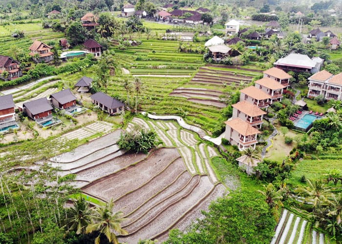 Rejser til Indonesien (Bali) - Alamdhari Villa