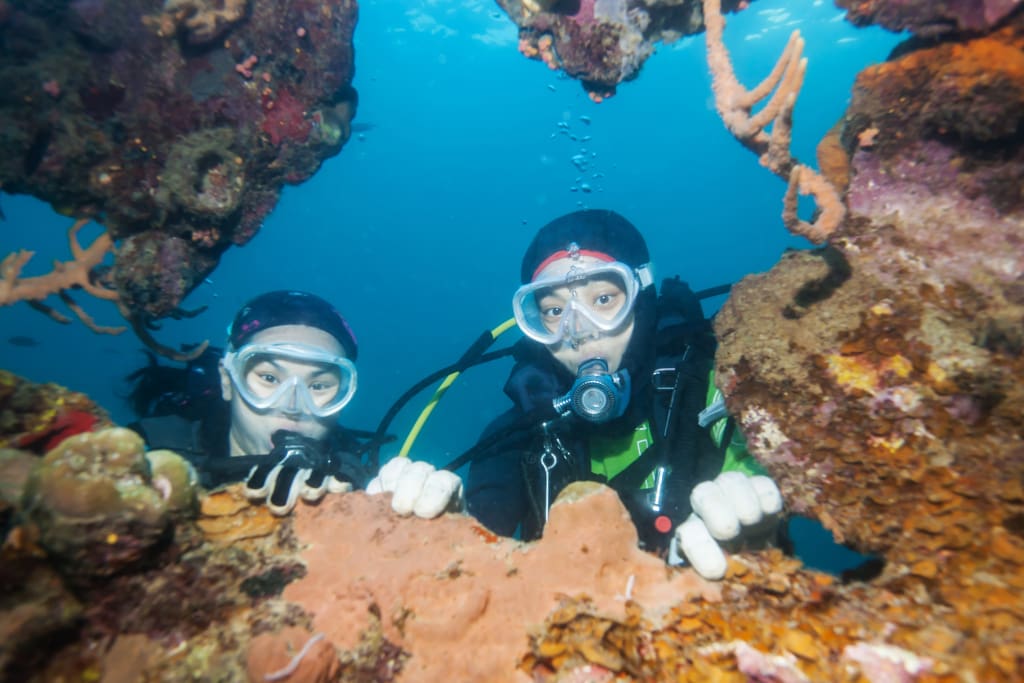 Rejser til Thailand - Discover Scuba Diving