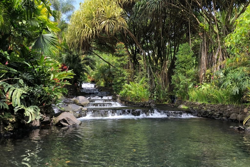 Arenal Rejser til Costa Rica, Rejser til Arenal, Rejser til La Fortuna