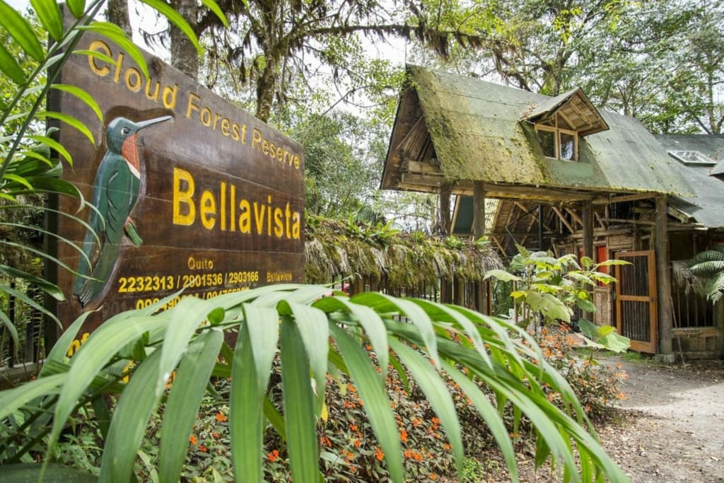 Rejser til Ecuador - Rejser til Mindo - Bellavista Cloud Forest Lodge