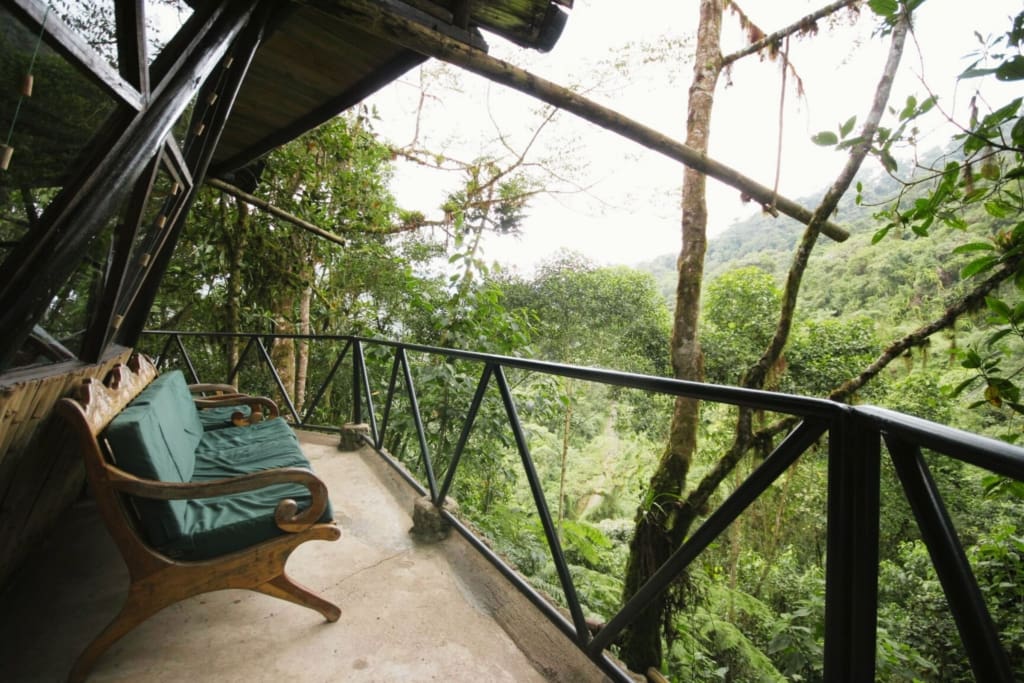 Rejser til Ecuador - Rejser til Mindo - Bellavista Cloud Forest Lodge