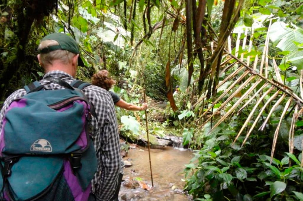 Vandretur i tågeskoven Rejser til Ecuador - Rejser til Mindo - Bellavista Cloud Forest Lodge