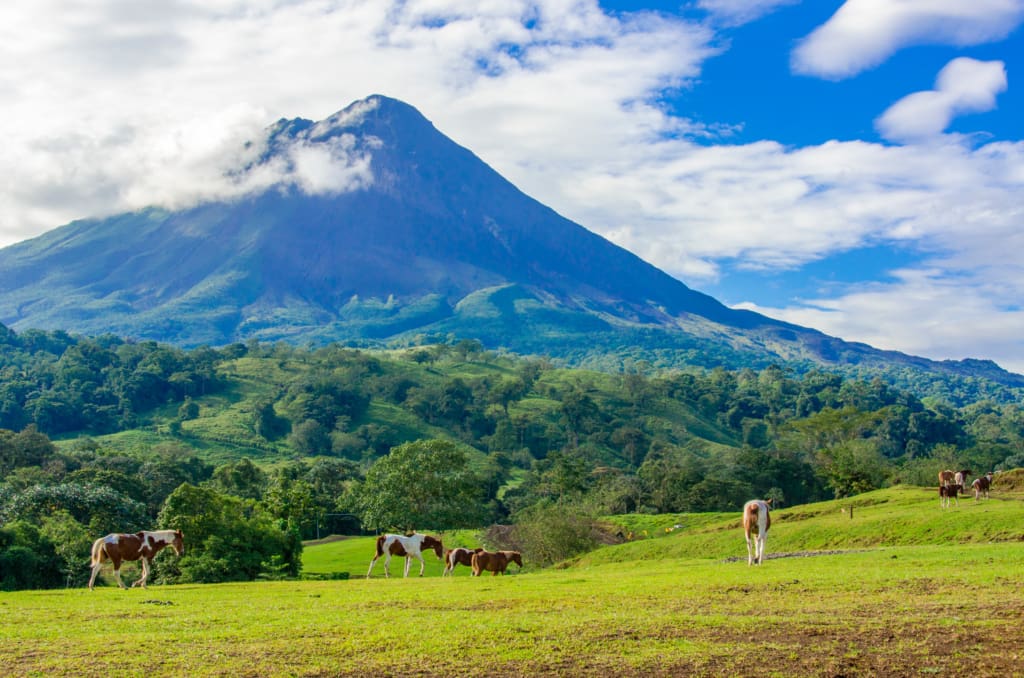 Rejser til Costa Rica - Rejser til Arenal