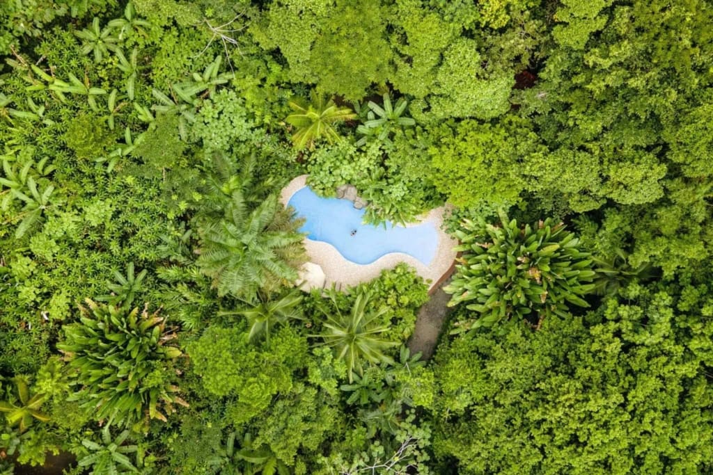 området Rejser til Costa Rica - Rejser til Boca Tapada - Maquenque Eco Lodge - Jungle Lodge Costa Rica - Bungalow Costa Rica