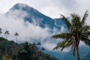 Lumbre Glamping – Cocora Valley Rejser til Colombia - Lumbre Glamping - Cocora Valley
