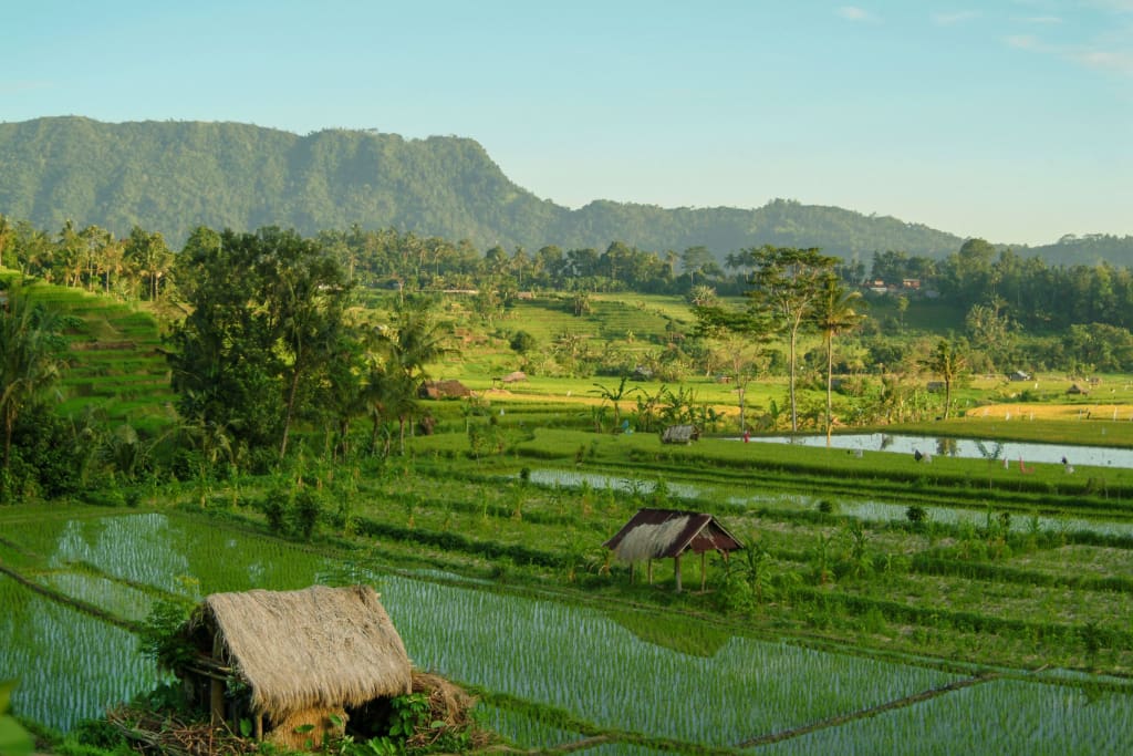 Rejser til Sidemen - Bali