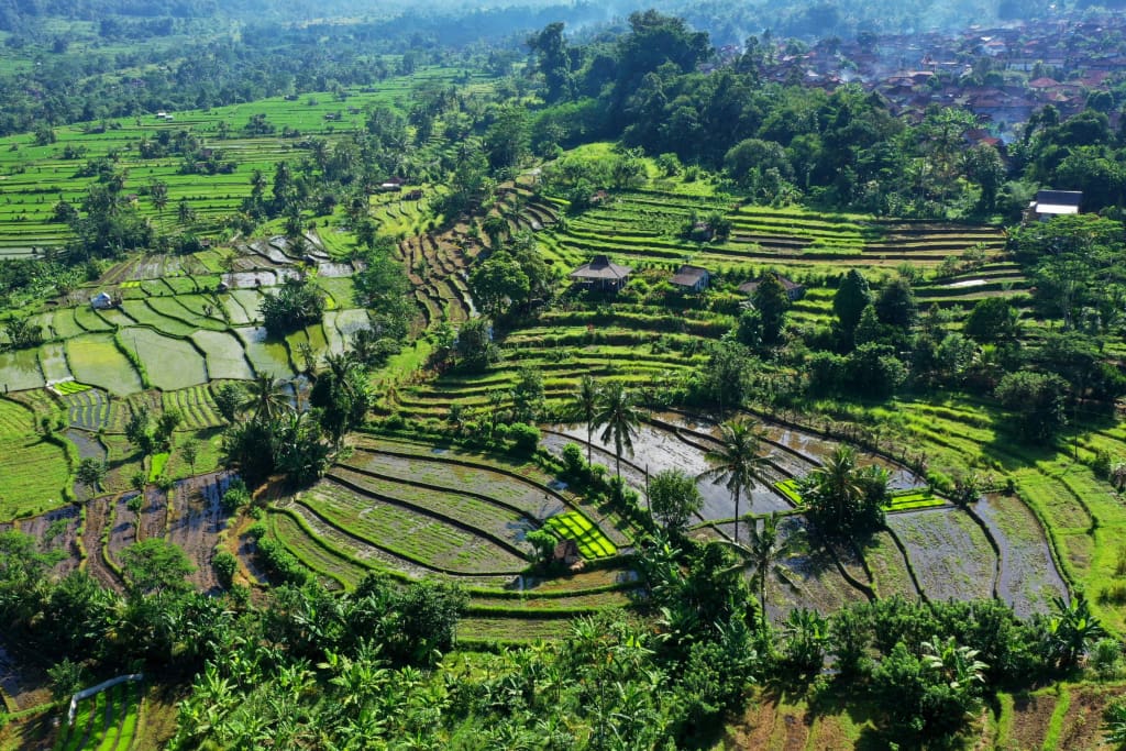 Rejser til Sidemen - Bali