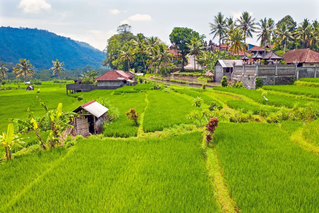 Rejser til Sidemen - Bali