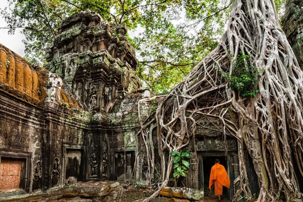 Oplevelser i Cambodia - Oplevelser i Siem Reap - Tempeltur rundt i tuk tuk