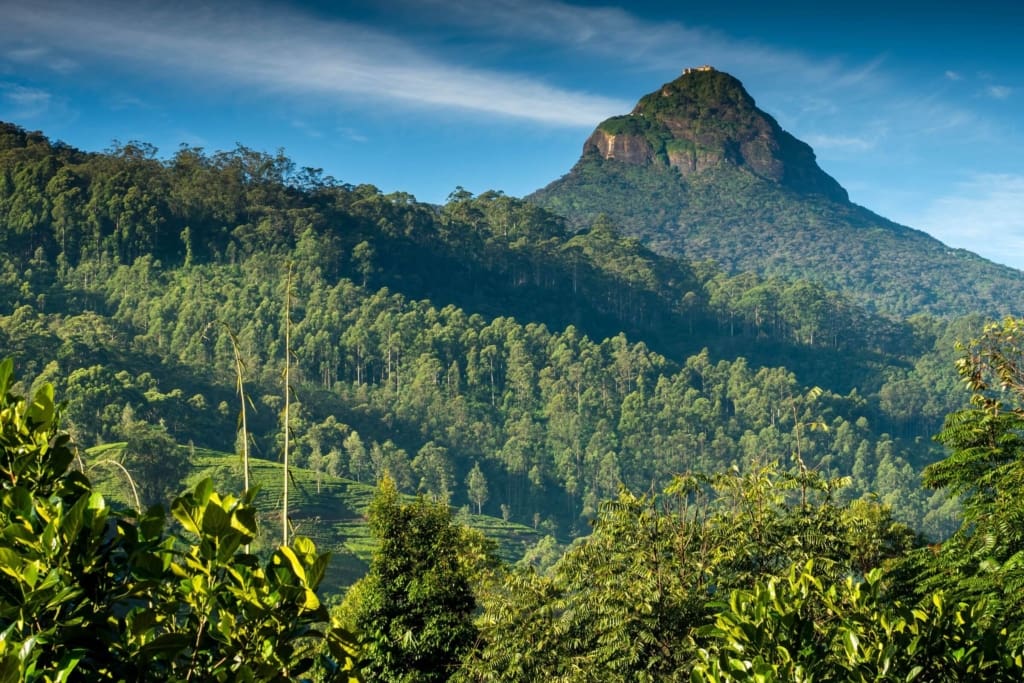 Oplevelser i Sri Lanka - Oplevelser i Adams Peak - Oplev det fantastiske Adam's Peak på egen hånd