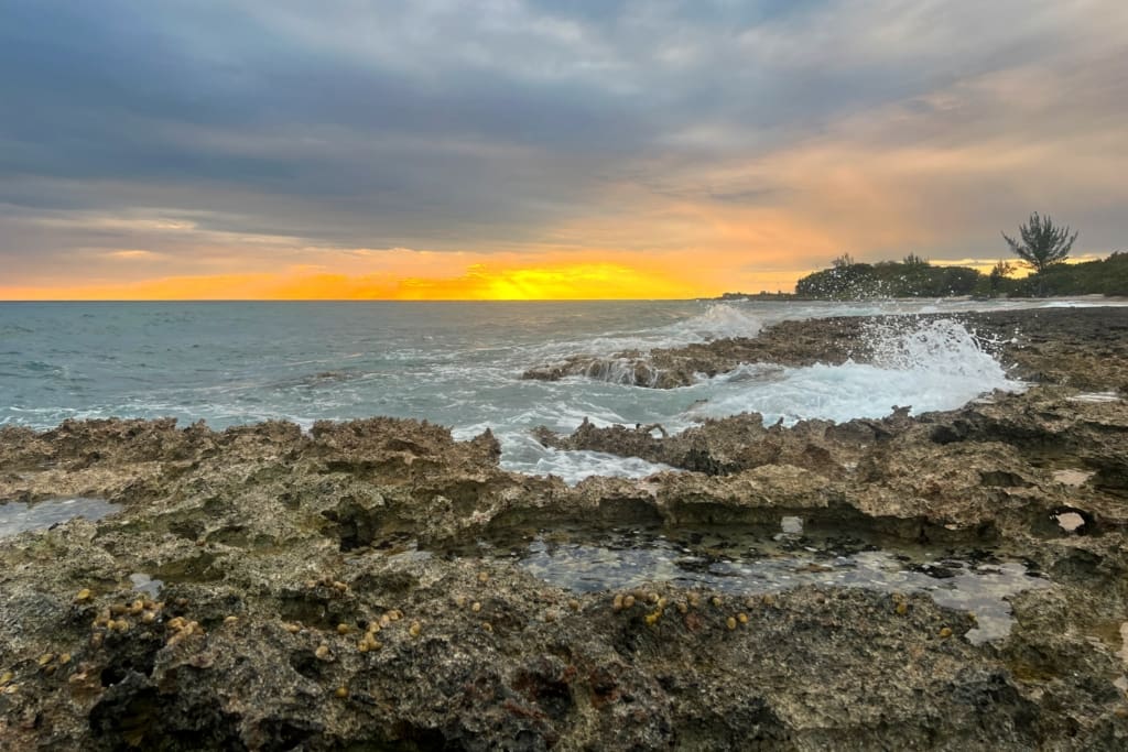 Rejser til Cuba - Playa Giron - Hummermiddag i solnedgangen