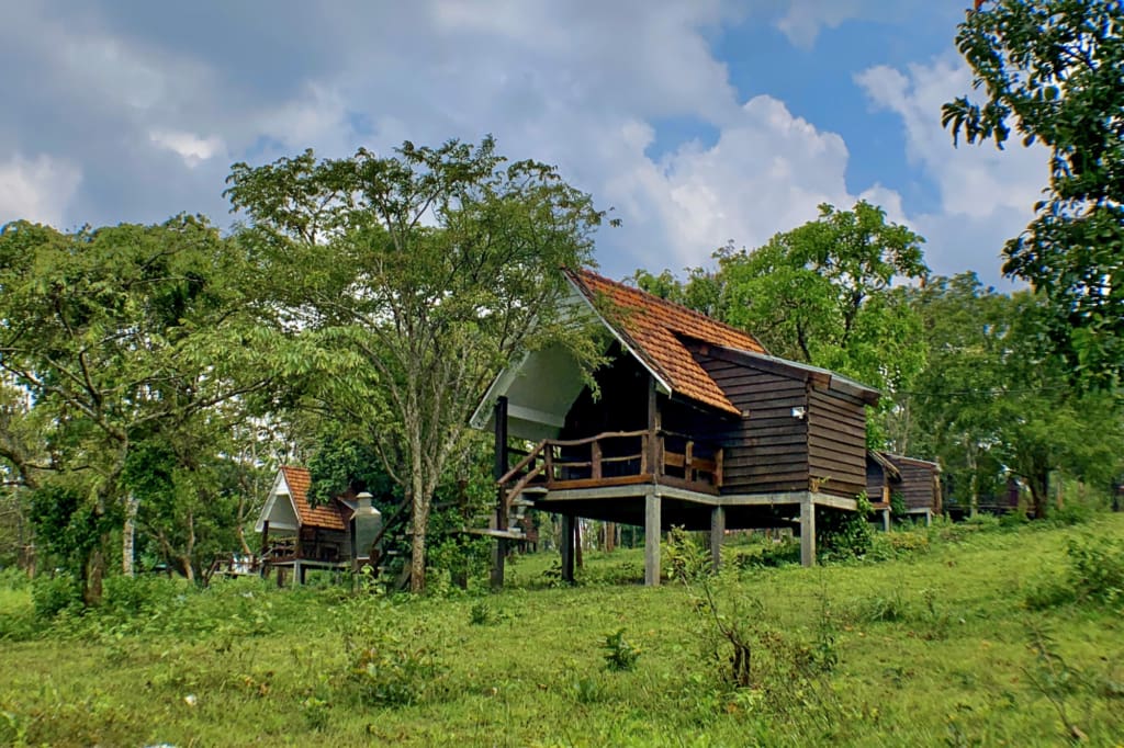 Rejser til Cambodia - Rejser til Mondulkiri - Nature Lodge Resort