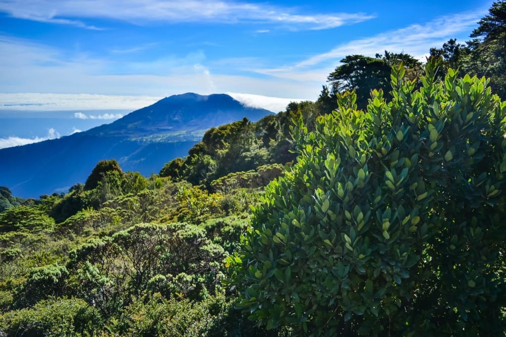 Rejser til Costa Rica - Irazú