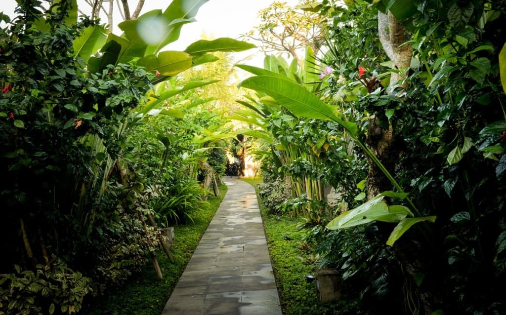 Rejser til Bali - Ubud - Purana Boutiqe Resort