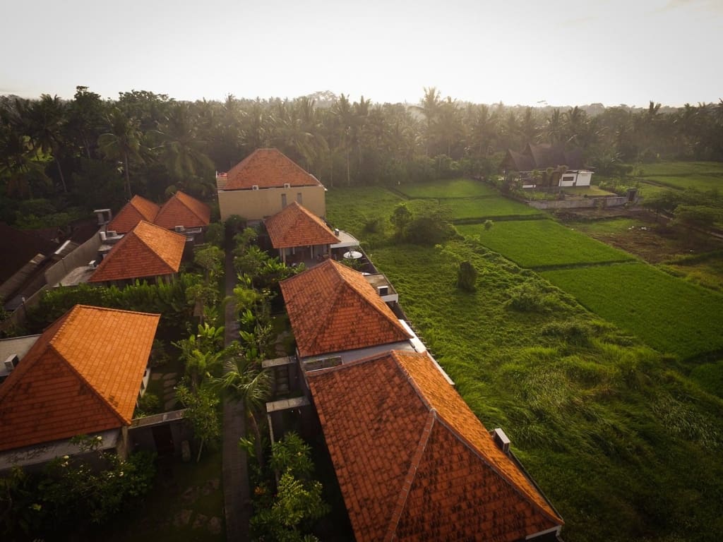 Rejser til Bali - Ubud - Purana Boutiqe Resort