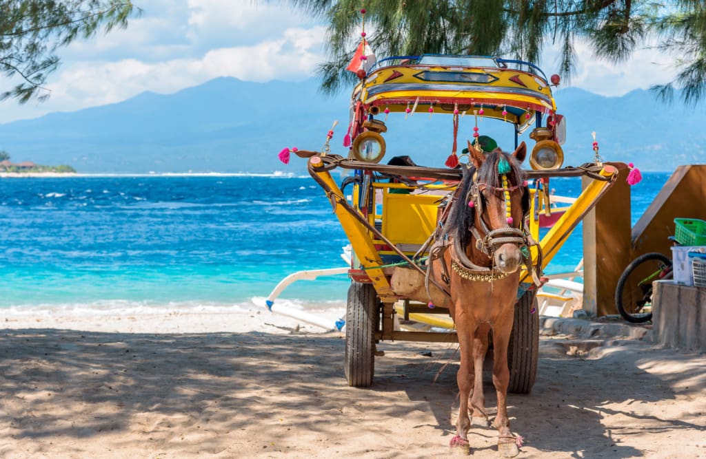 Rejser til Bali - Rejser til Gili Trawangan