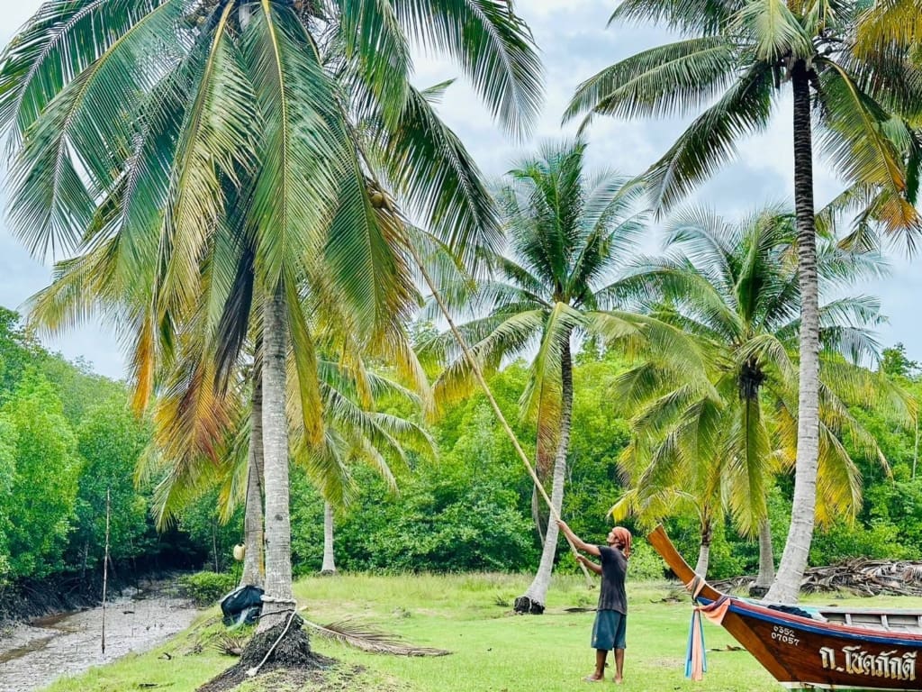 Rejser til Thailand - Rejser til Koh Lanta - Udflugter