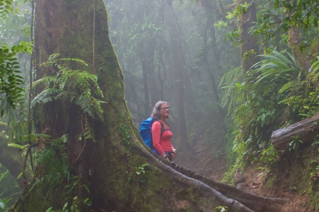 Rejser til Costa Rica - Rejser til Monteverde - Vandretur i tågeskoven over hængebroer