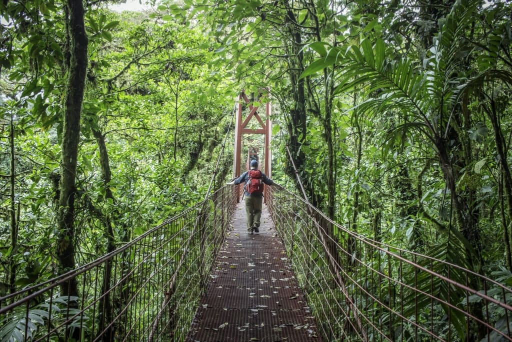 Rejser til Costa Rica - Rejser til Monteverde - Vandretur i tågeskoven over hængebroer