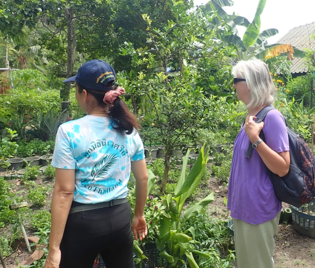Rejser til Thailand - Rejser til Koh Phangan - Besøg på økologisk gård