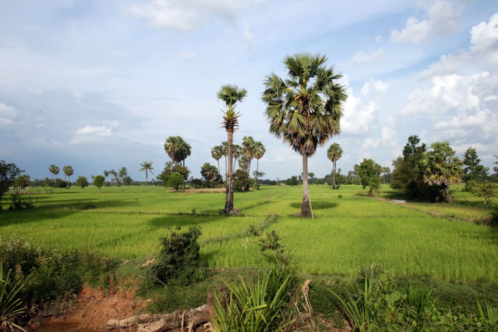 Oplevelser i Cambodia - Phnom Penh