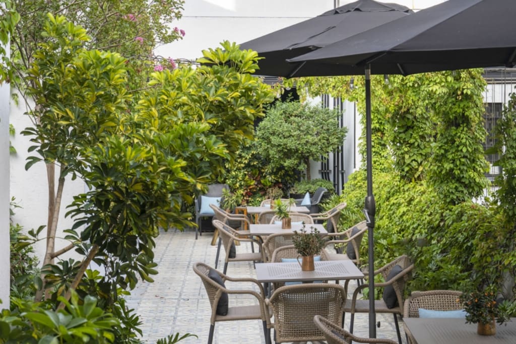 Rejser til Mexico - Rejser til Mexico City - Casa Decu (Condesa)