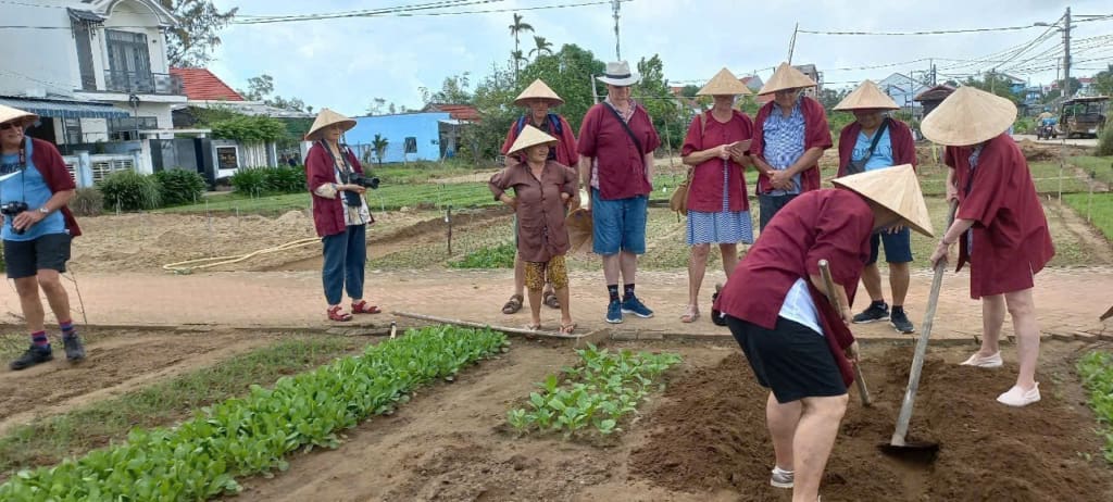 Rejser til Thailand - Rejser til Hoi An - Madlavningskursus