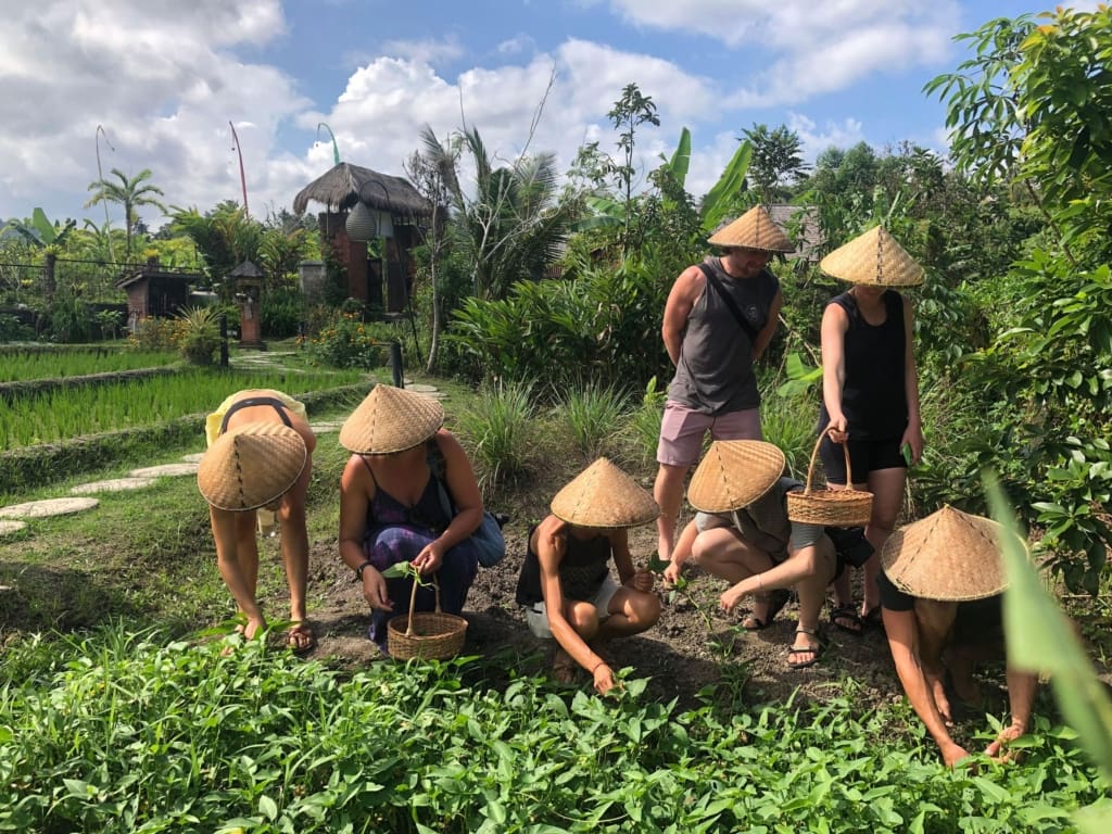 Rejser til Bali - Rejser til Sidemen - Vegansk madlavningskursus